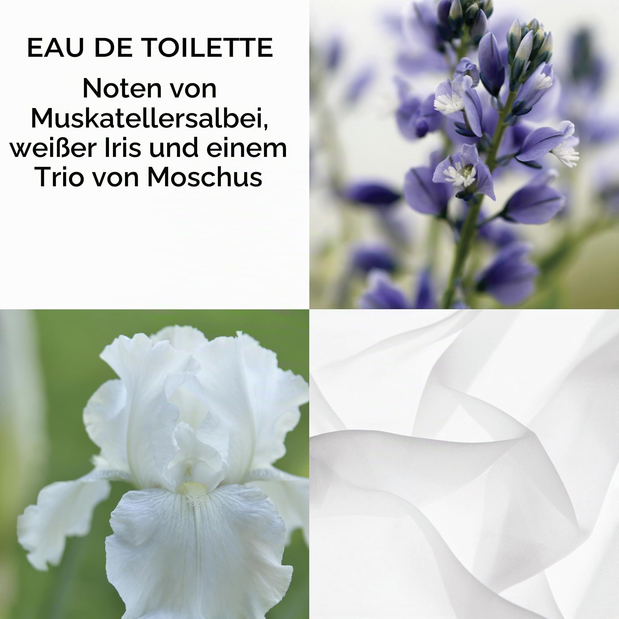 Elizabeth Arden White Tea Collection Coffret (3 x 10 ml), 3-teiliges Geschenkset, Duftgeschenk für Frauen