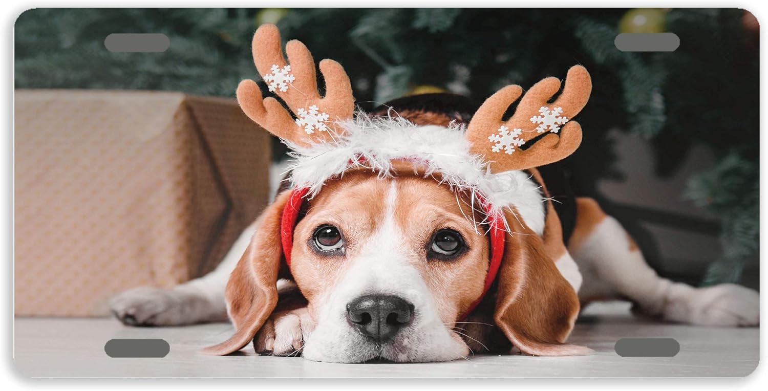 beagle license plate