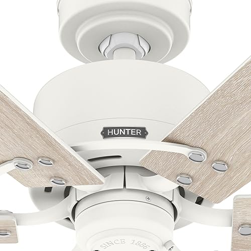 Miniatura 9 de Hunter Fan Company - Ventilador de techo Gilrock moderno de 52 pulgadas y cadena de tracción