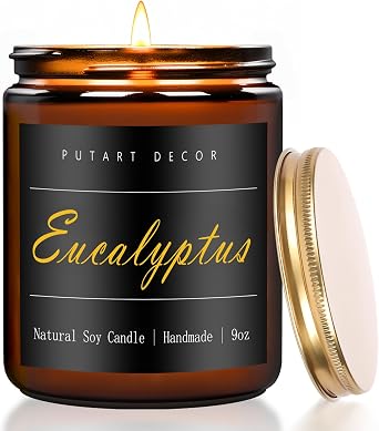 Eucalyptus Mint Candles for Home Scented, 9oz Non Toxic Soy Candles