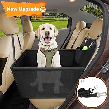 dog basket for car