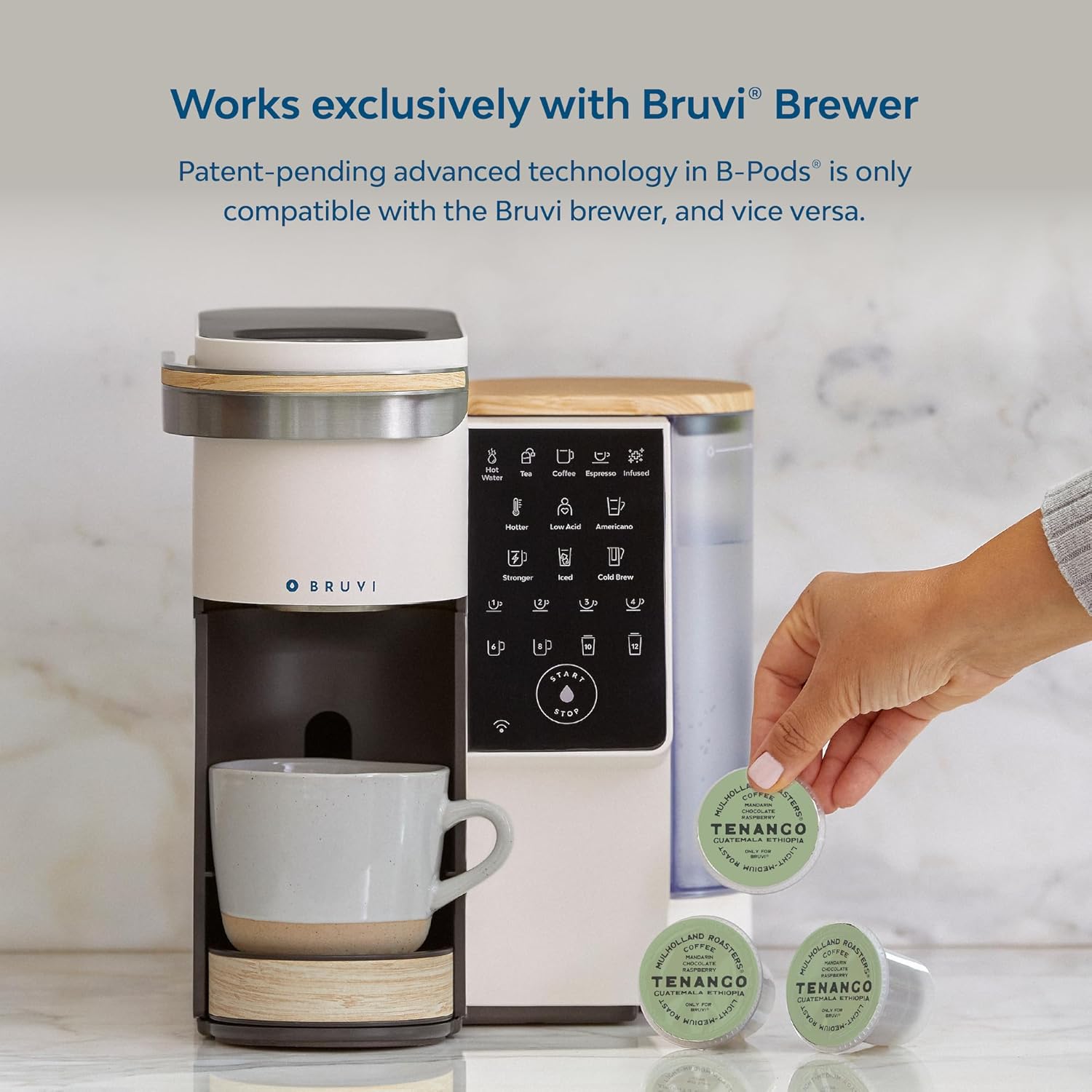 Mulholland Roasters | Tenango Coffee Single Cup B-Pods | Only Compatible with BRUVI Single-Serve Coffee Brewer | Includes 60 Pods