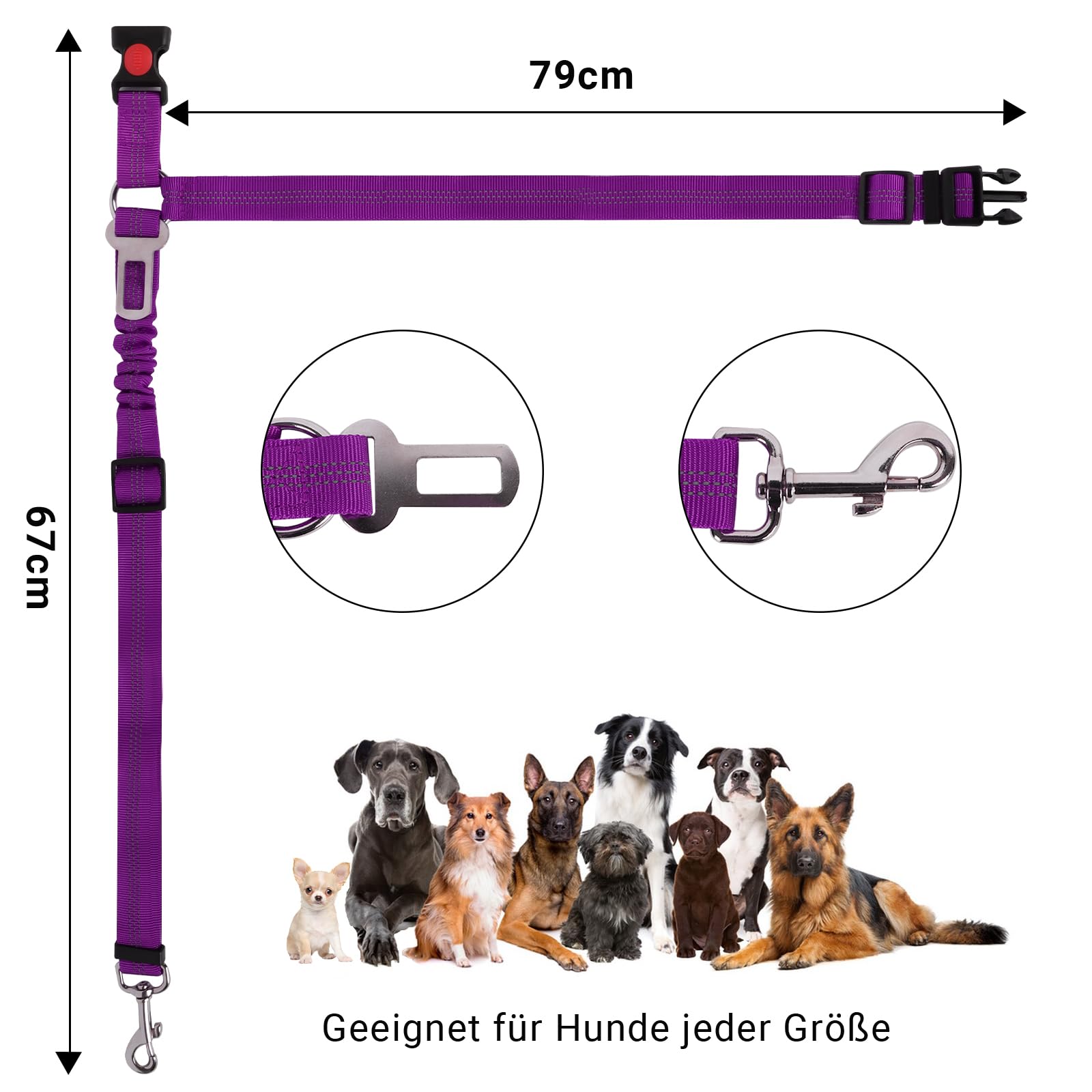 Lollanda Ceinture De Sécurité Voiture Pour Chien - Réglable Avec Bandes Réfléchissantes Pour Grands Moyens Petits Chiens