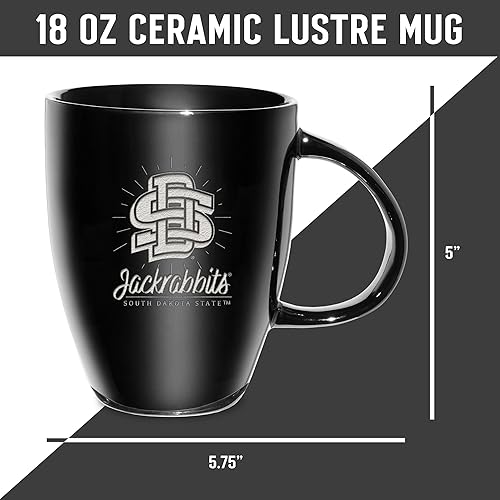 Vista 504 de Rico Industries NCAA - Taza de cerámica con grabado láser, 18 onzas, café y té