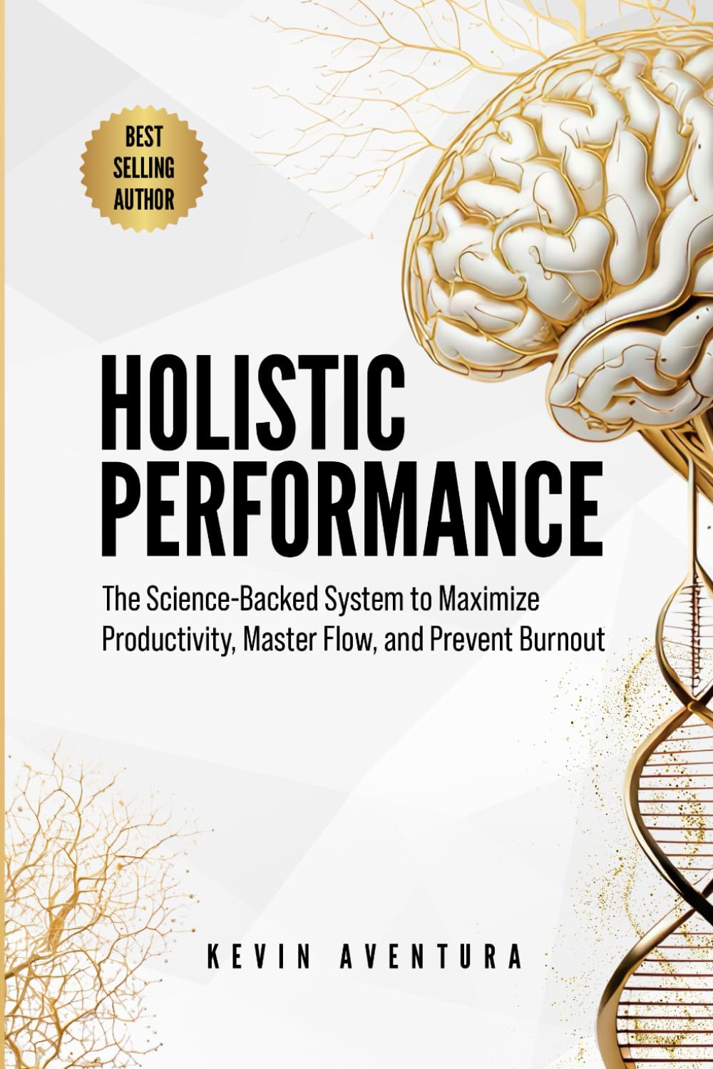 Holistic Performance: The Science-Backed System to Maximize Productivity, Master Flow, and Prevent Burnout