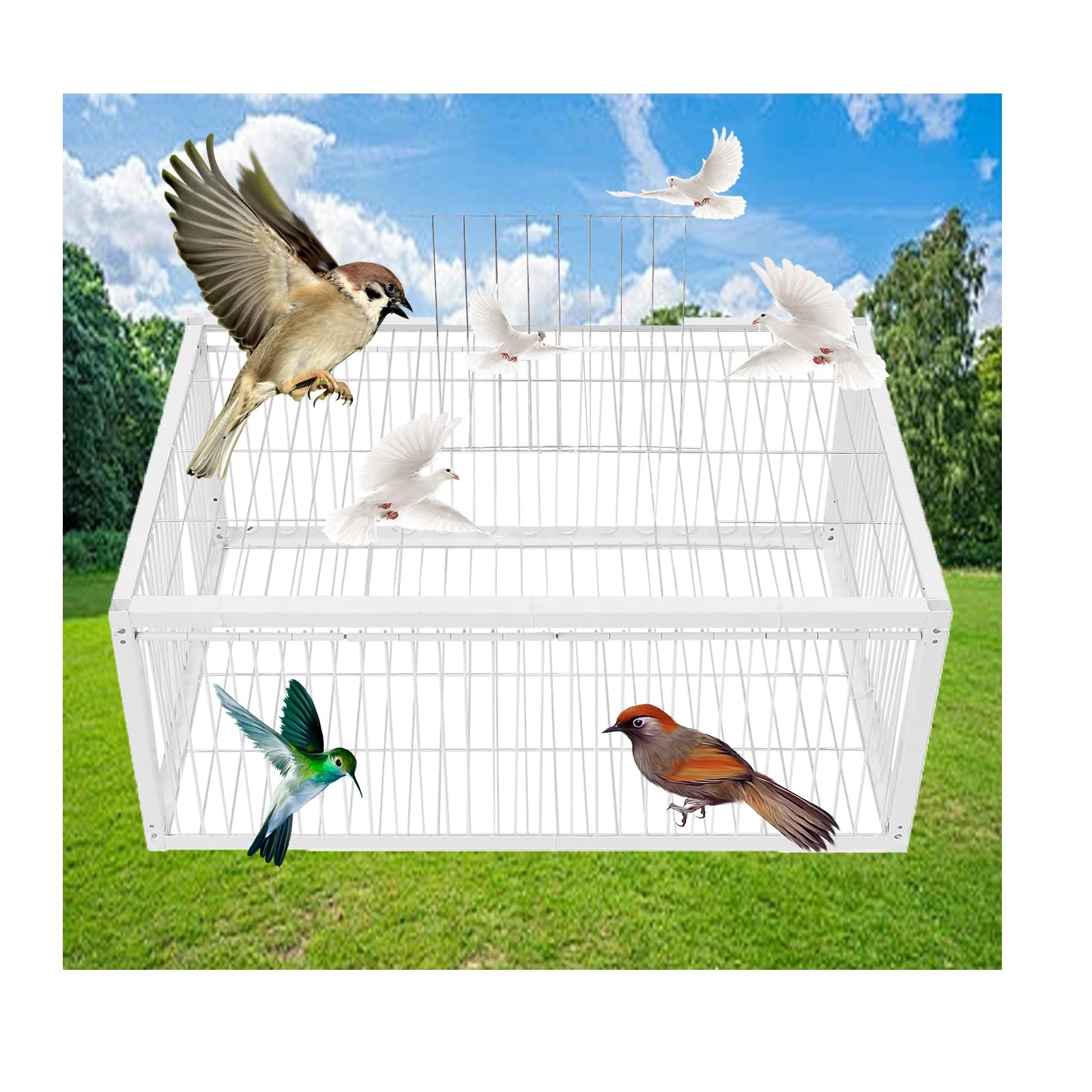Caza de Paloma,Palomar con 4 entradas unidireccionales for Palomas,Jaula for Palomas al Aire Libre con claraboya/terraza/jardín/Granja(White,70 * 40cm)