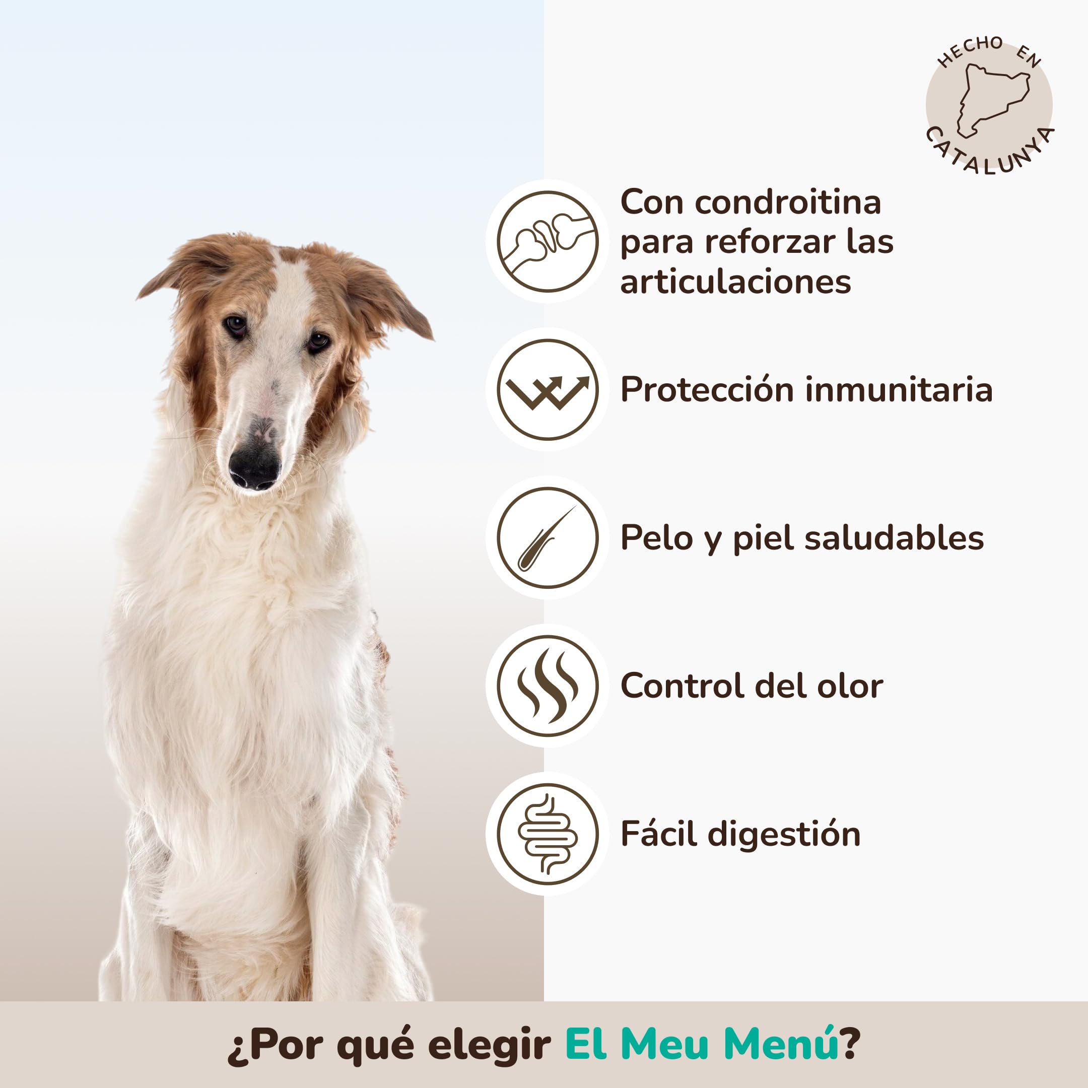 GALITO Pienso Perros Senior 12 kg Pollo y Salmón Sin Gluten