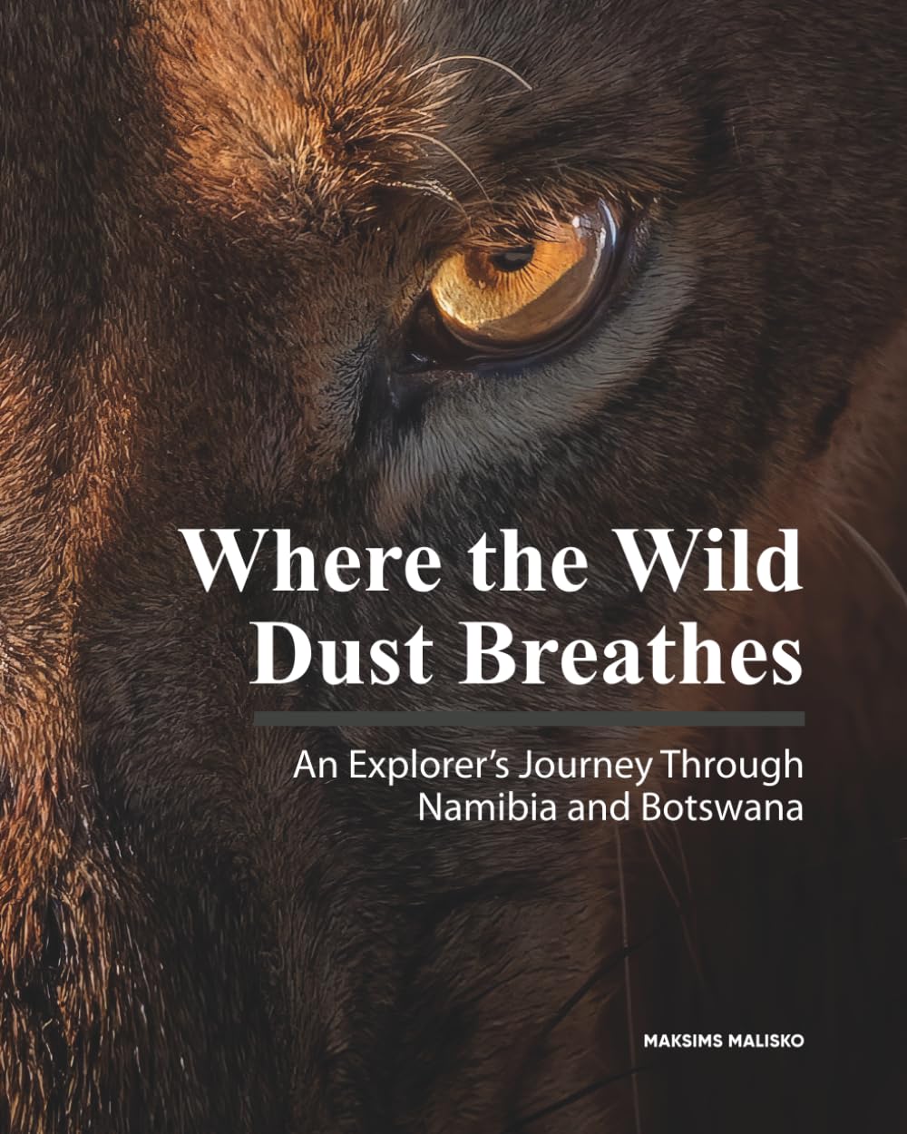 Where the Wild Dust Breathes: An Explorer’s Journey Through Namibia and Botswana
