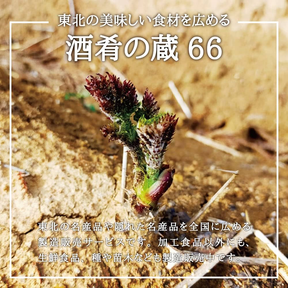 Amazon.co.jp: 【天然山菜 ミョウガ 苗】西根の森 天然山菜の苗