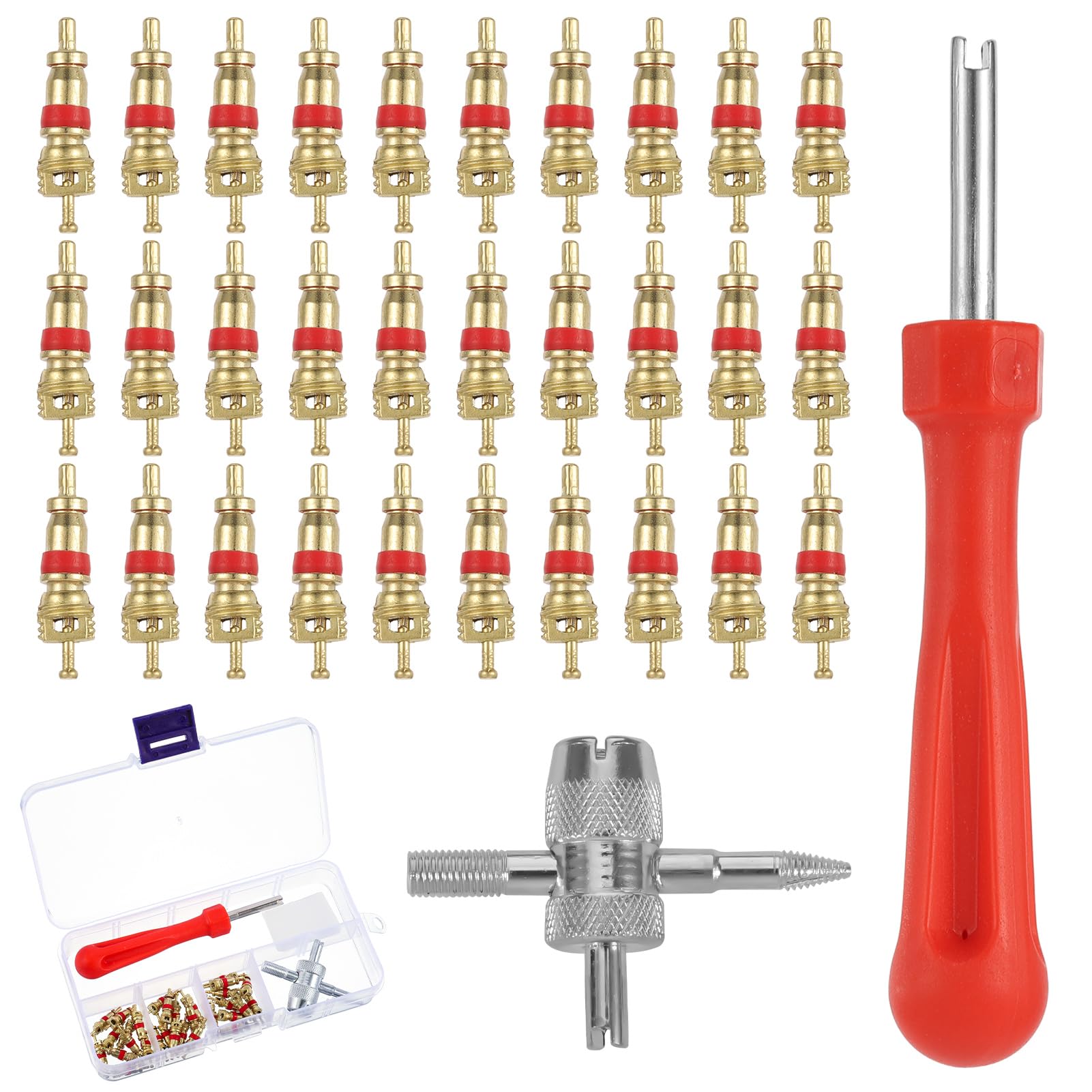 Chutoral Tyre Valve Repair Kit, 34 PCS Valve Core Remover Tool Kit, Tyre Valve Core Remover, with Valve Stem Cores, Valve Core Removal, Valve Tool for Bicycle Auto Car