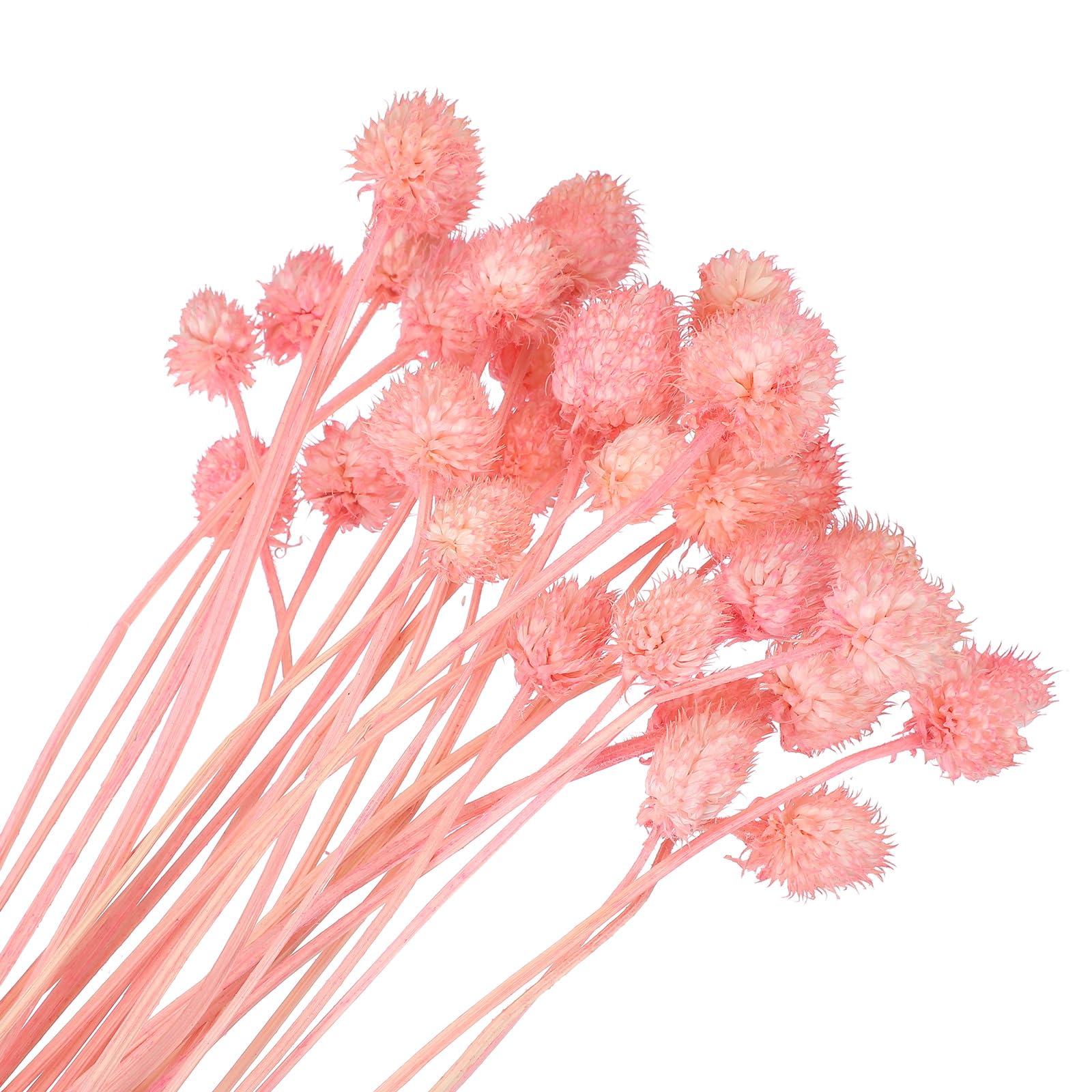 Fleurs Séchées pour Vase : Décoration de Mariage et Centre de Table Automnal Rose