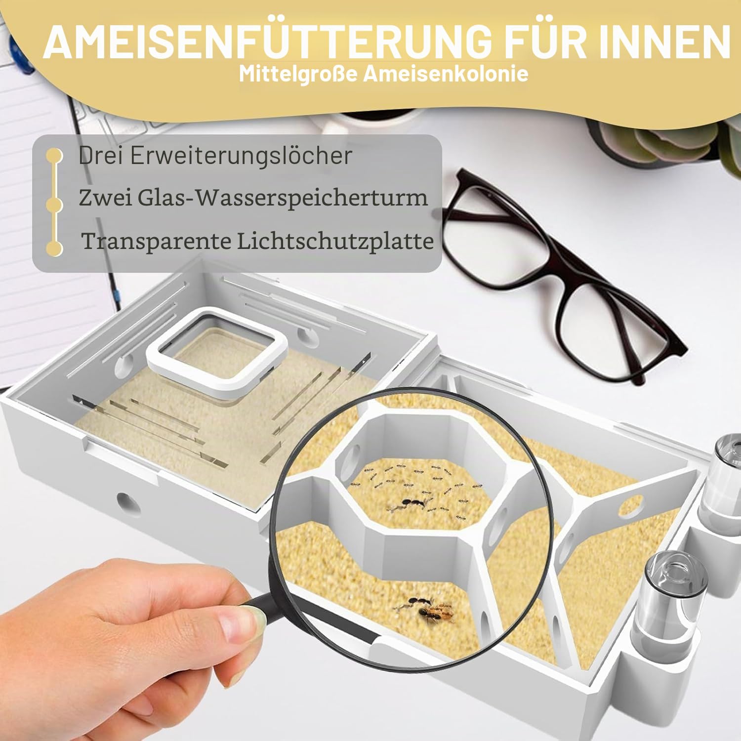 Nest Farm für lebende Ameisen und Königin – Ameisenfarmen mit gelbem Sand Beobachtung Transparente Ameisenfarm für Erwachsene 3D-gedrucktes Nest Ameisenwerkstatt Schloss Ameisengarten Königin (WT2-4)