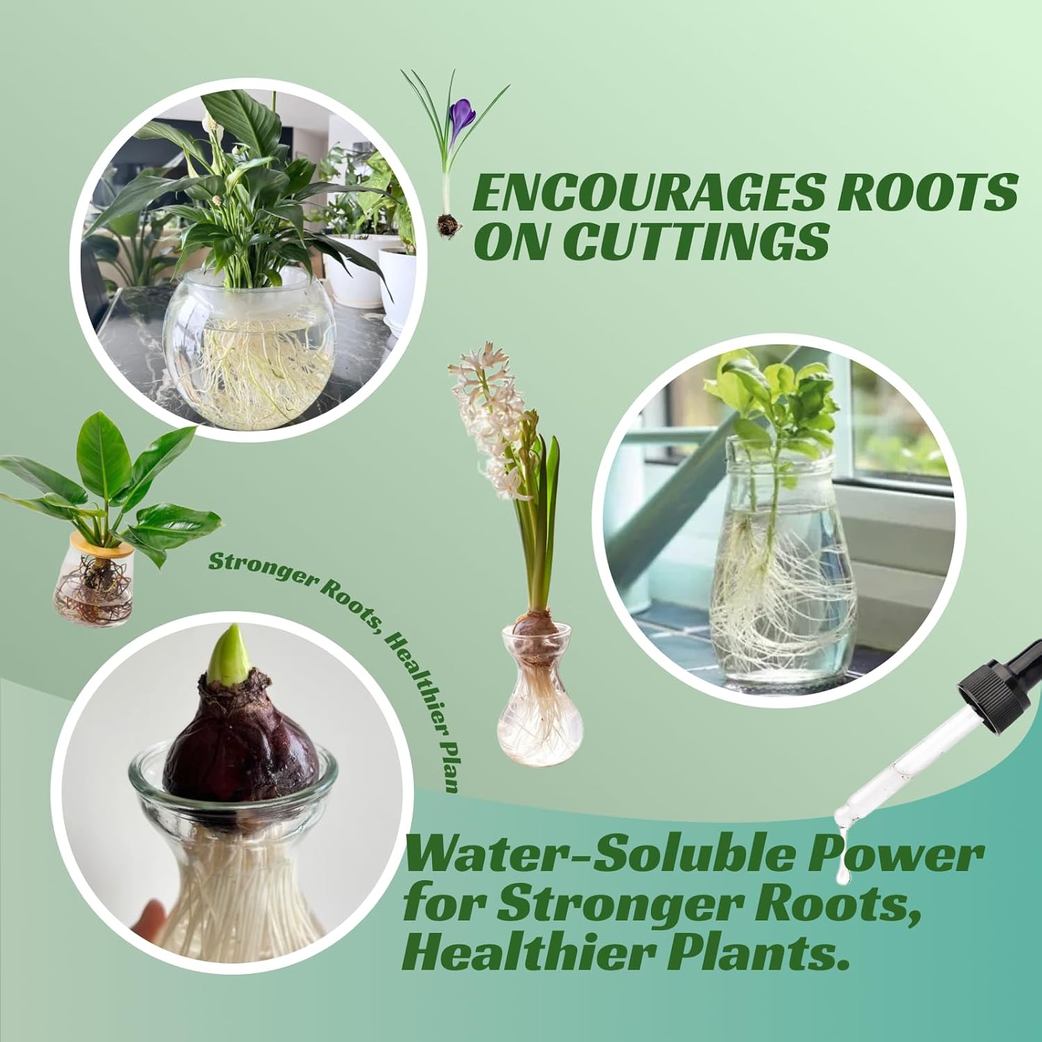 Prop Drops - Propagation Drops to Promote Healthy Root Growth, Root Drops for Less Shock, Works in Water Soil Leca, for All Indoor Houseplants Like Pothos, Monstera, Philodendron (2Pcs)