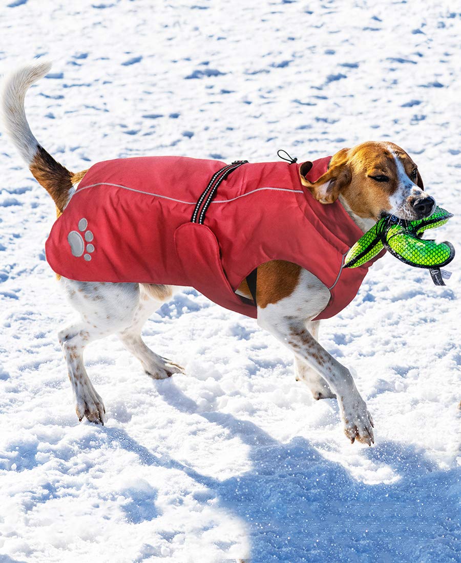 Amazon | ASMPET ドッグウェア 犬 服 ペット服 大型犬 秋冬 防寒着 犬