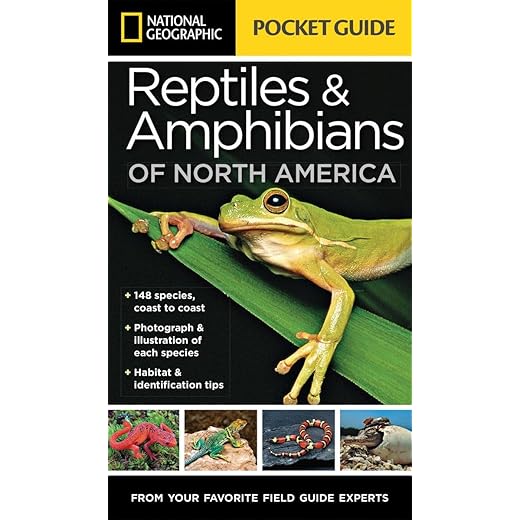 National Geographic Pocket Guide to Reptiles and Amphibians of North America