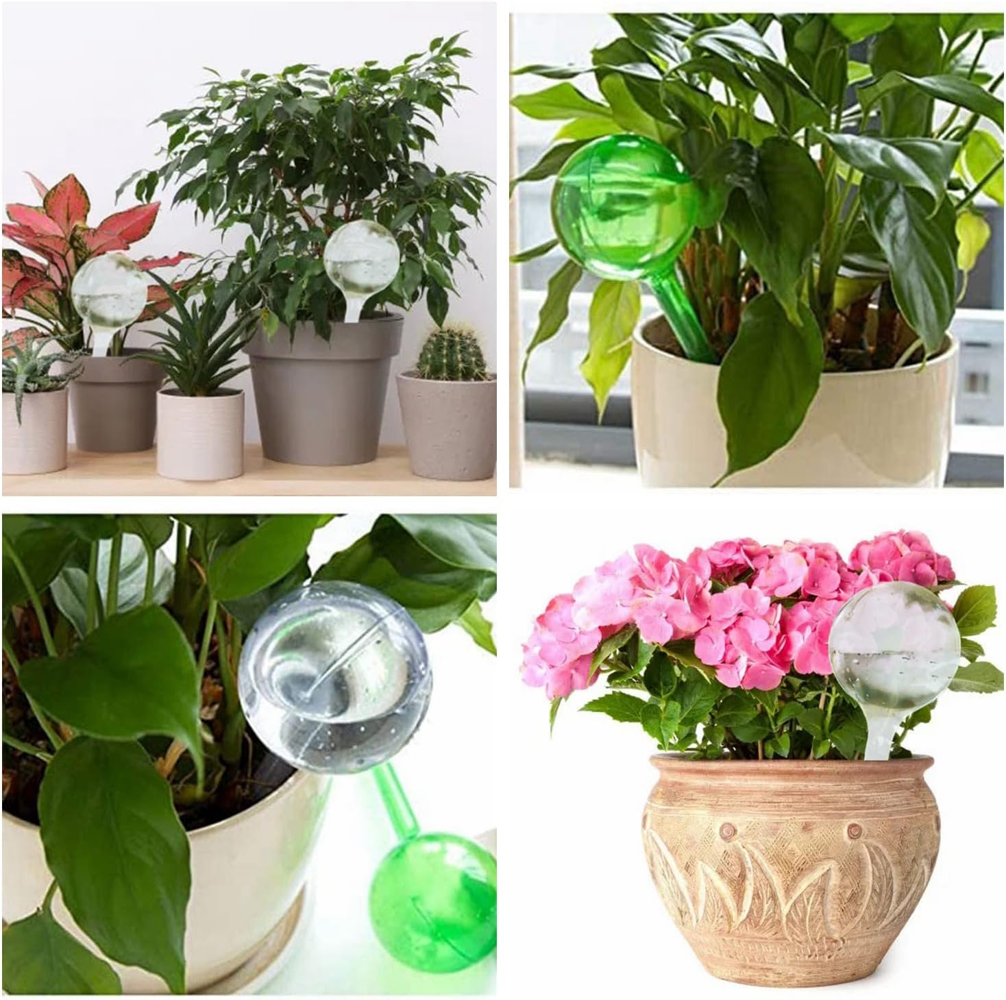 Plant Watering Globes Set of 10, Self Watering Bulbs for Indoor & Outdoor Plants, Plastic Automatic Water System (Clear, 10 Pack Large)
