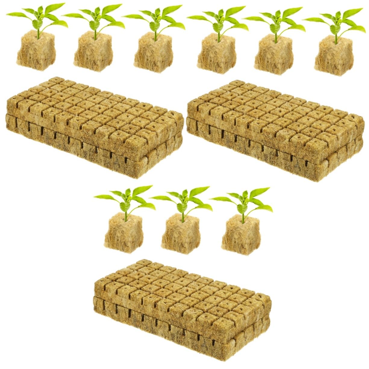 TOYANDONA 3 Ensembles Substrat De Semis Cubes De Culture Hydroponique Terreau pour Plantes D'Intérieur Culture Hors Sol Cubes De Terre De Plantes De 100 pièces * 3