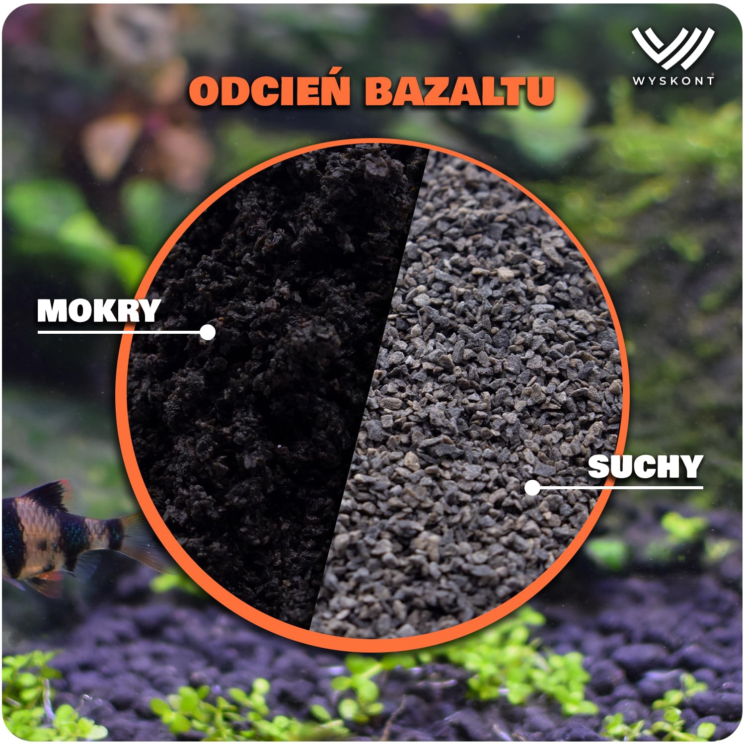 żwirek do akwarium czarny - żwir akwarystyczny 1 kg – 3-5 mm – żwirek akwarystyczny - dekoracja akwarium - podłoże akwariowe - piasek kwarcowy - ozdoba akwariowa