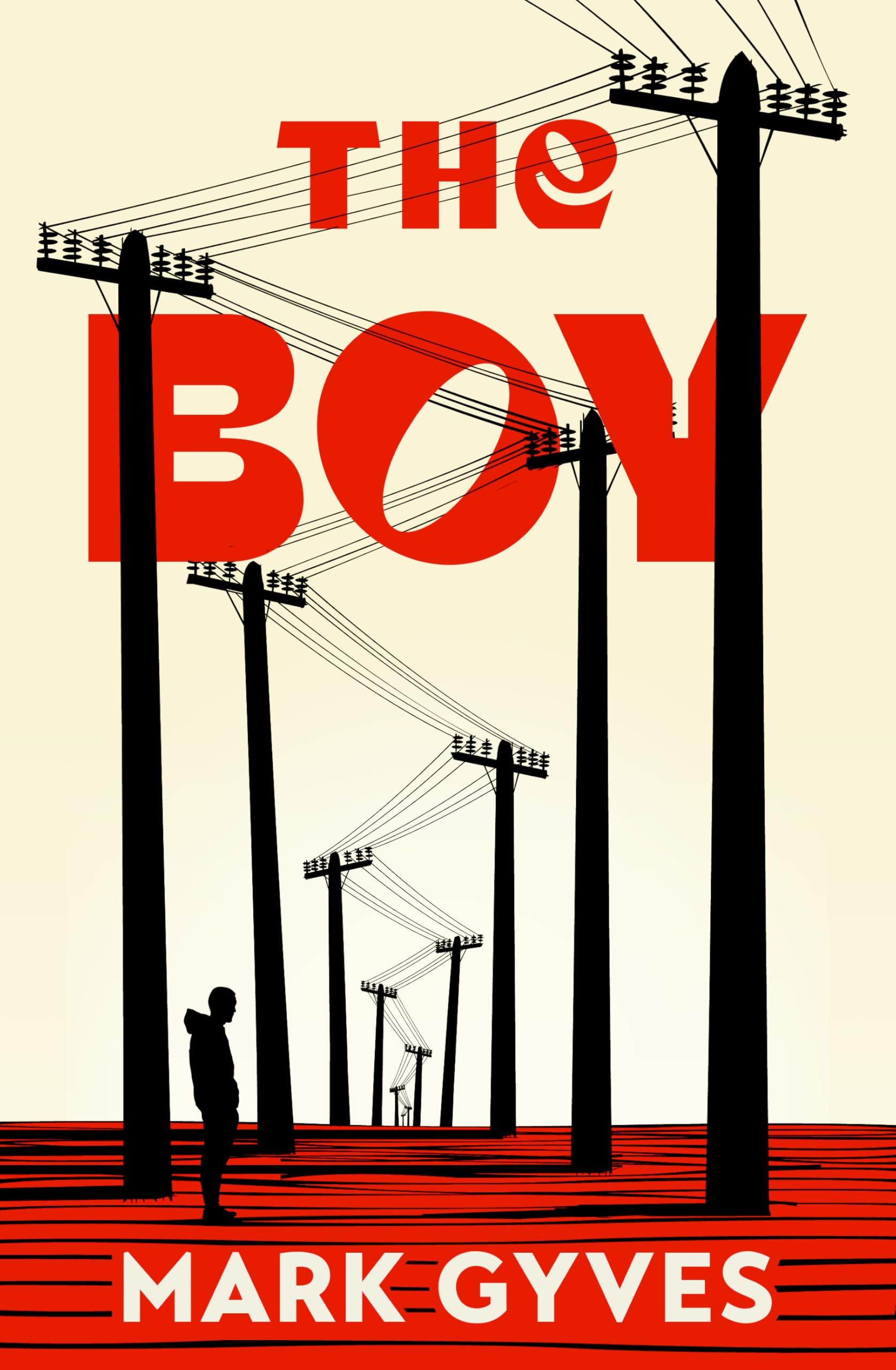 The Boy: A searing, unflinching debut that announces a major new voice in Irish fiction