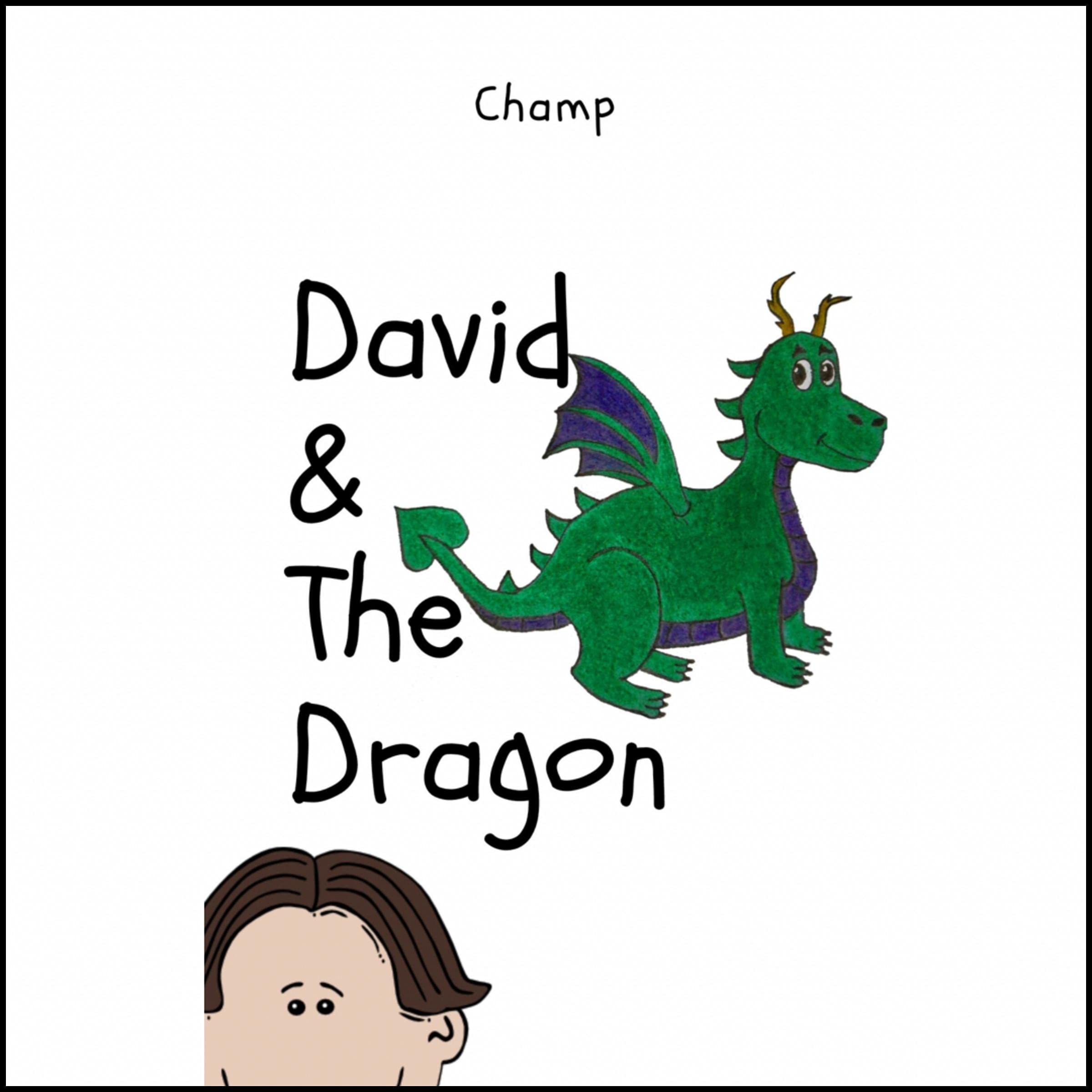 Cover art for David & the Dragon