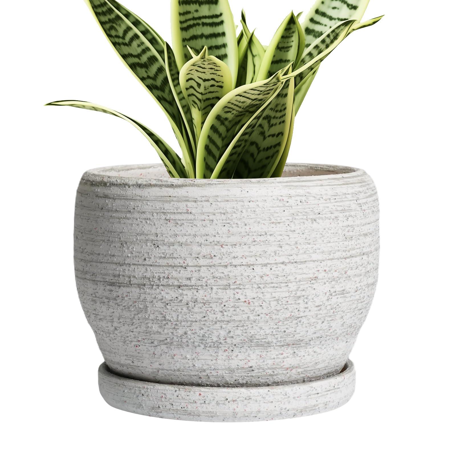 SQOWL Brushed Gray Ceramic