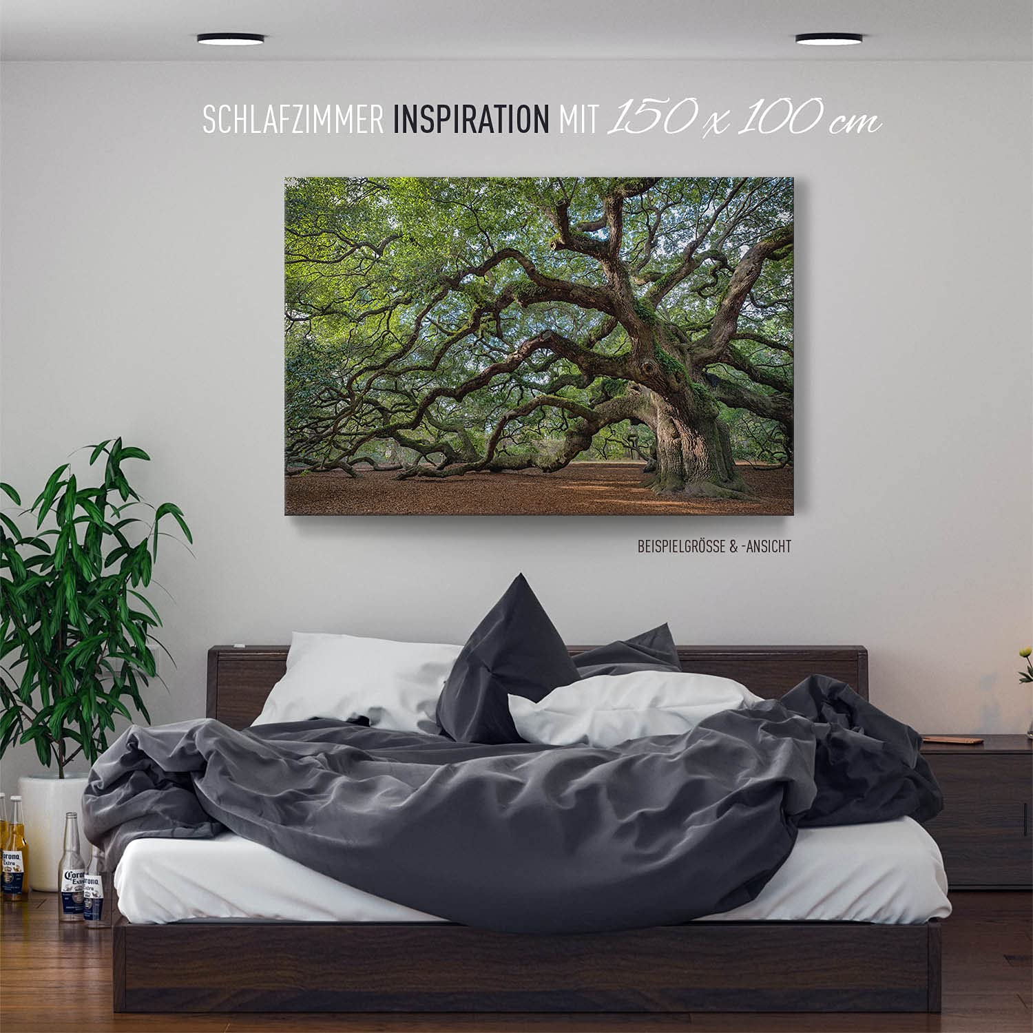 BilderKing Wandbild Baum Alte Eiche - 150cm x 100cm Leinwand auf 4cm Keilrahmen