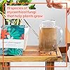Product Photo 5