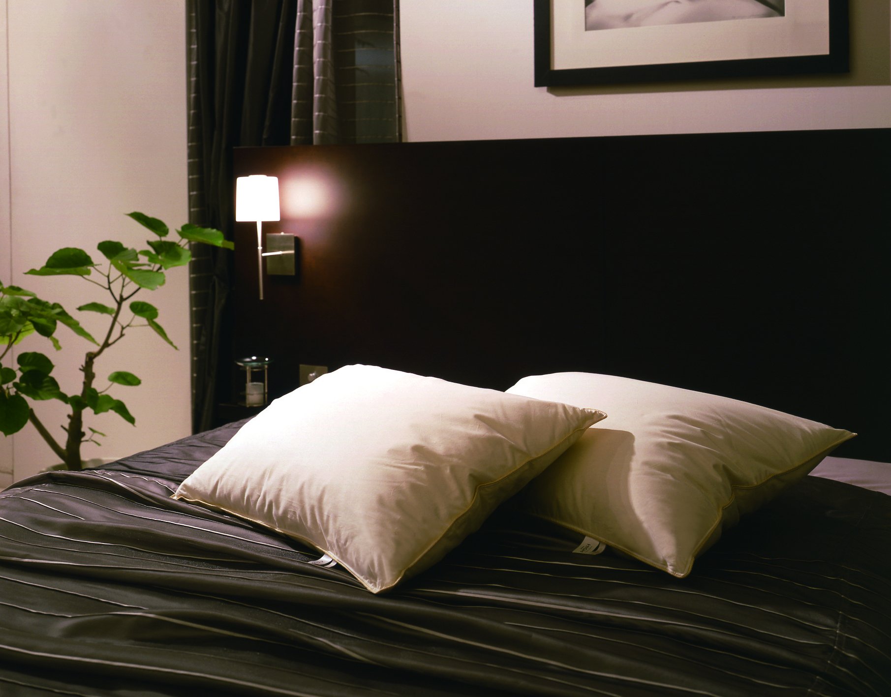 Amazon｜日本ベッド製造 ピロー リフワージュ 枕 ホワイト ハイタイプ  