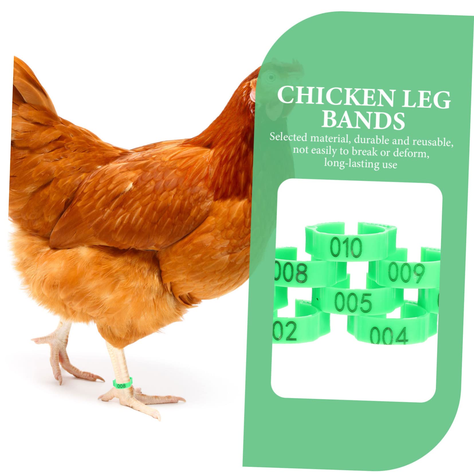 BESPORTBLE 200pièces Anneaux Numérotés Pour Poules Bracelets Identifiants De Volaille Vert Pour De Poules Canards Et Marquage Âges Et Séparation Élevages