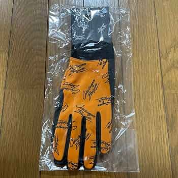 71-fTum0KAL._AC_UF350,