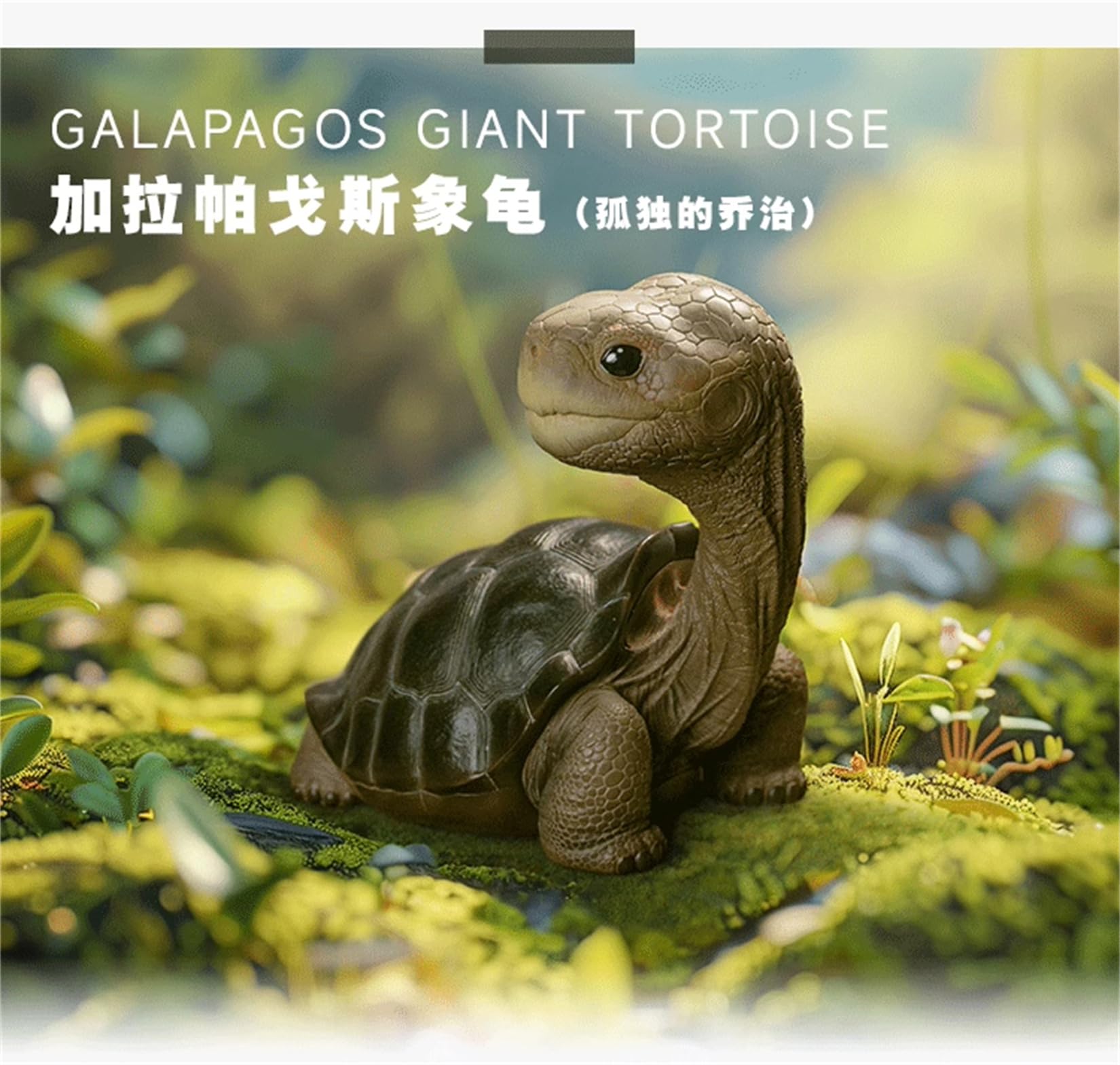 Amazon.co.jp: 動物惑星 ガラパゴスゾウガメ 亀 12.5CM 爬虫類