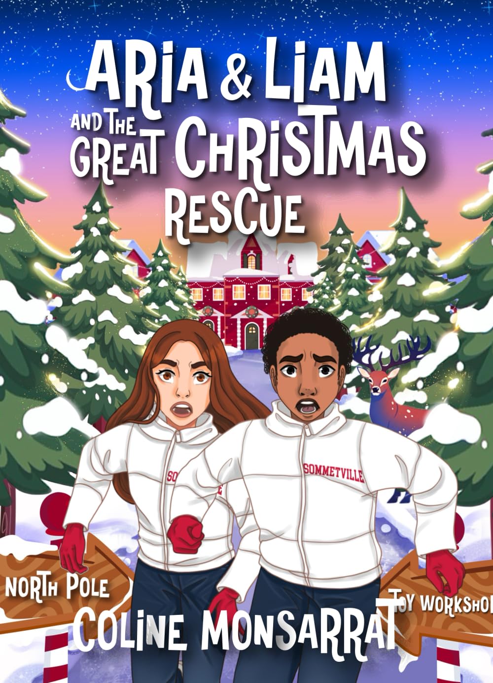 Aria & Liam and The Great Christmas Rescue