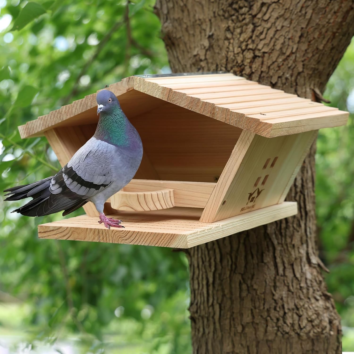 Premium Fir Wood Mourning Dove Nesting Box, 13.7" L x 7.2" H x 10.6" W Pigeon House, Ideal Outdoor Habitat for Pigeons - Easy to Install & Remove