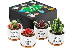 Please Don't Die Plant Pot
