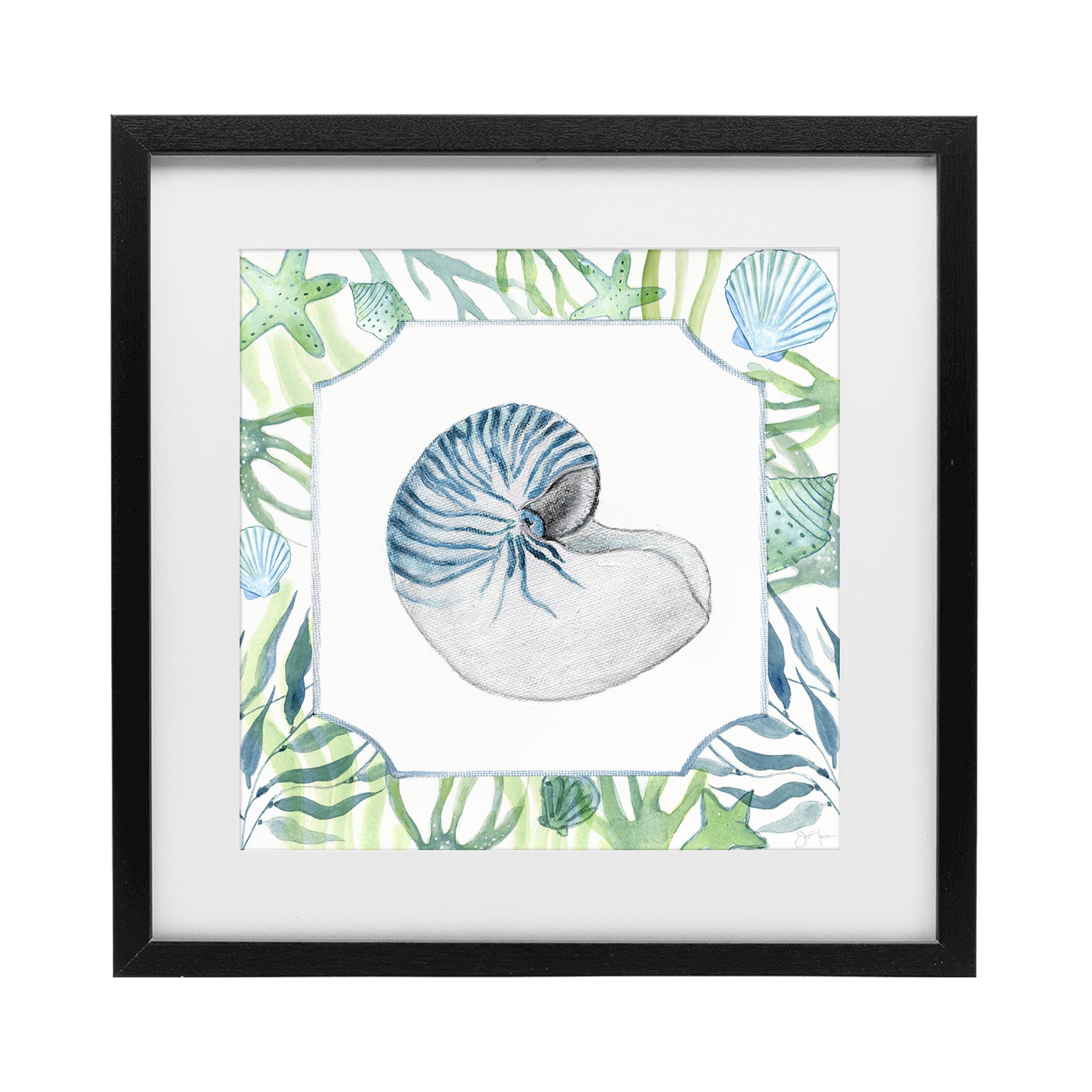 Stupell Industries 'Seaweed & Seashells Aquatic', Framed Print Under Glass, Black, 16 x 16 Inches, Easy to Hang and Sturdy, Made in USA, by Janet Tava