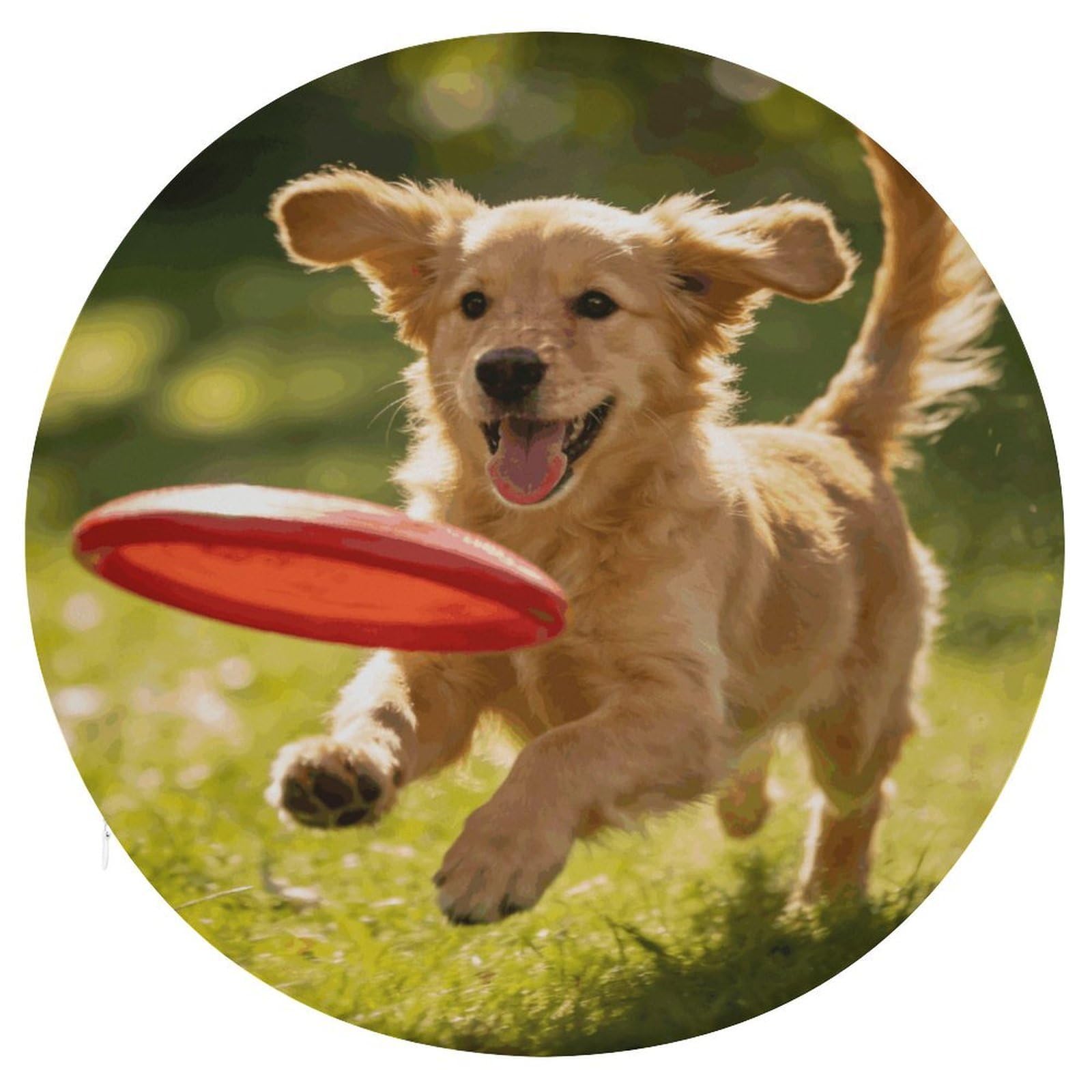 Cojín redondo de cachorro ideal para sillas de cocina y suelo del hogar