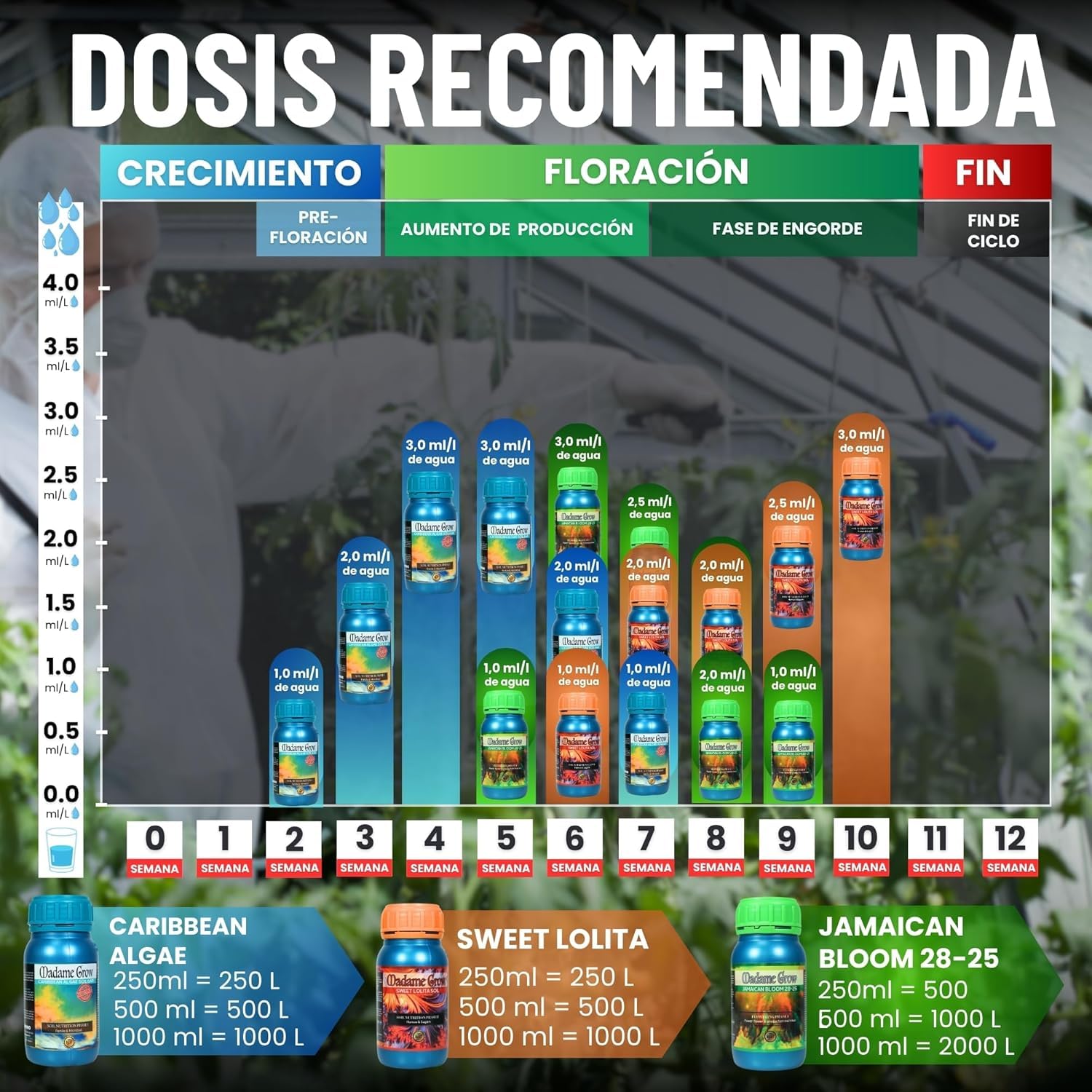 MADAME GROW Pack Ibiza 3 x 1 Litro | Kit Fertilizantes Floración con Algas Energía y PK | Caribbean Algae + Sweet Lolita + Jamaican Bloom | Pack 3 Abonos Orgánicos Floración