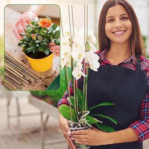 Miniatura 6 de 60 estacas de bambú a granel, estacas naturales para plantas de bambú para jardín, soporta escalada para tomates, frijoles, vegetales y plantas en
