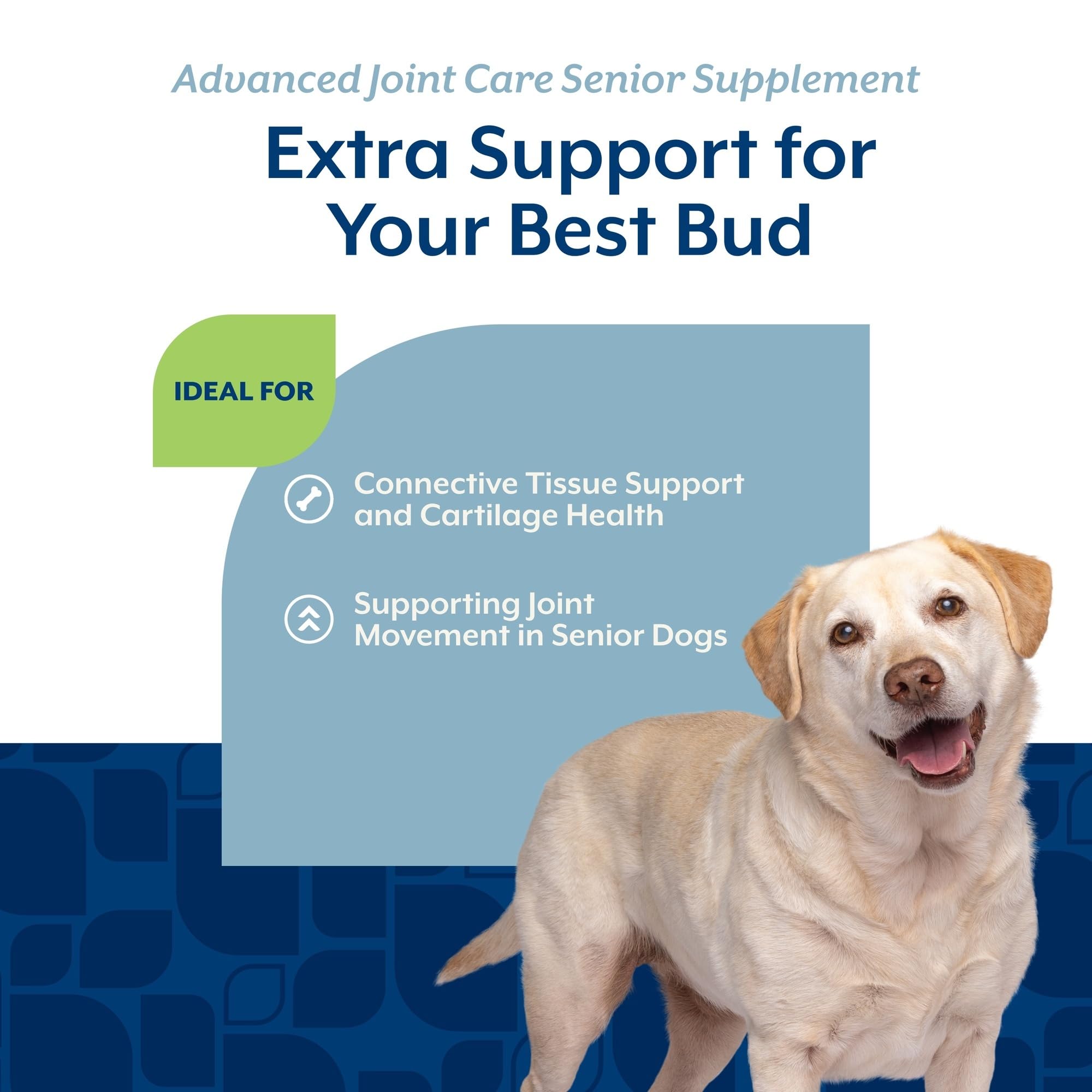 NaturVet Senior Advanced Joint Health Dog Supplement – Includes Glucosamine, MSM, Chondroitin, Collagen – Helps Supports Canine Joint Health Function – 60 Ct. Soft Chews - image 4