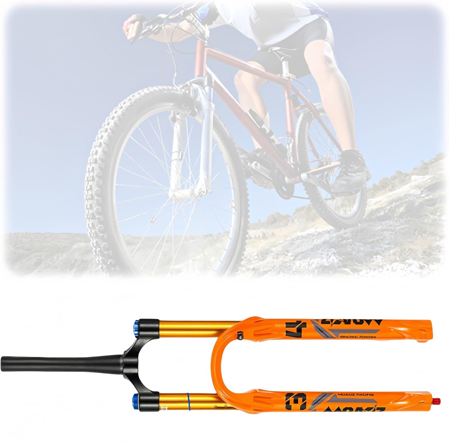 現代美術作家 オンライン 町田久美作品 招き猫 現代美術作家 町田久美