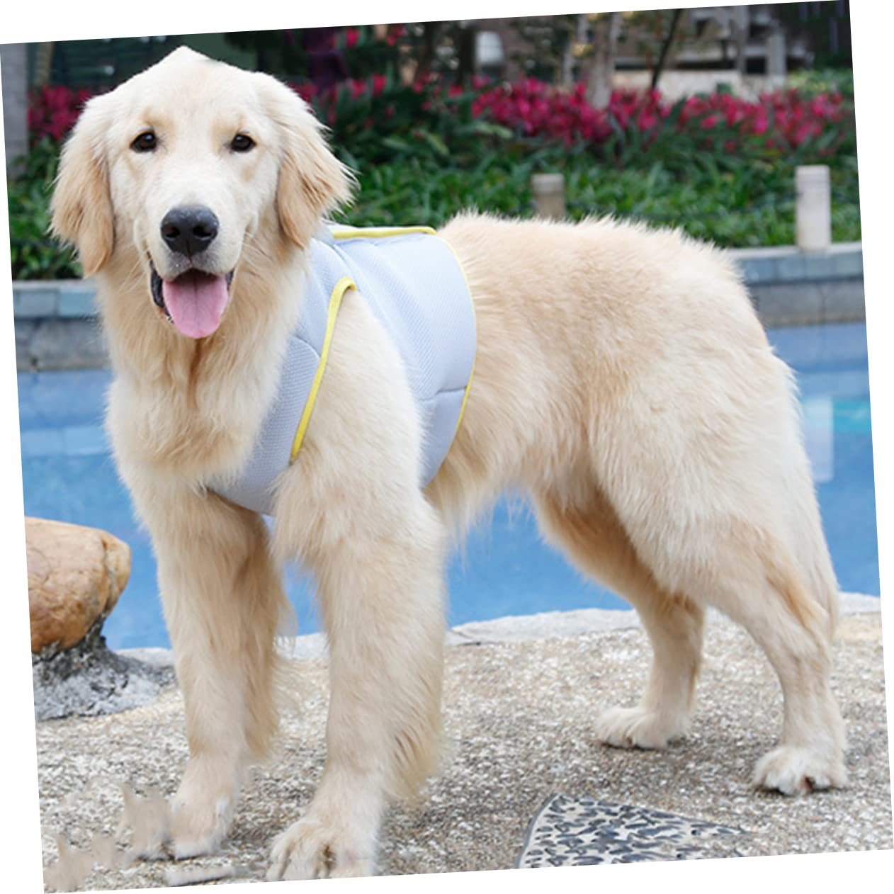 SUPVOX 3pezzi Gilet Refrigerante Per Cani Giacca Traspirante Per Animali Con Design Fresco Perfetta Per Attività All Aria Aperta Taglia s