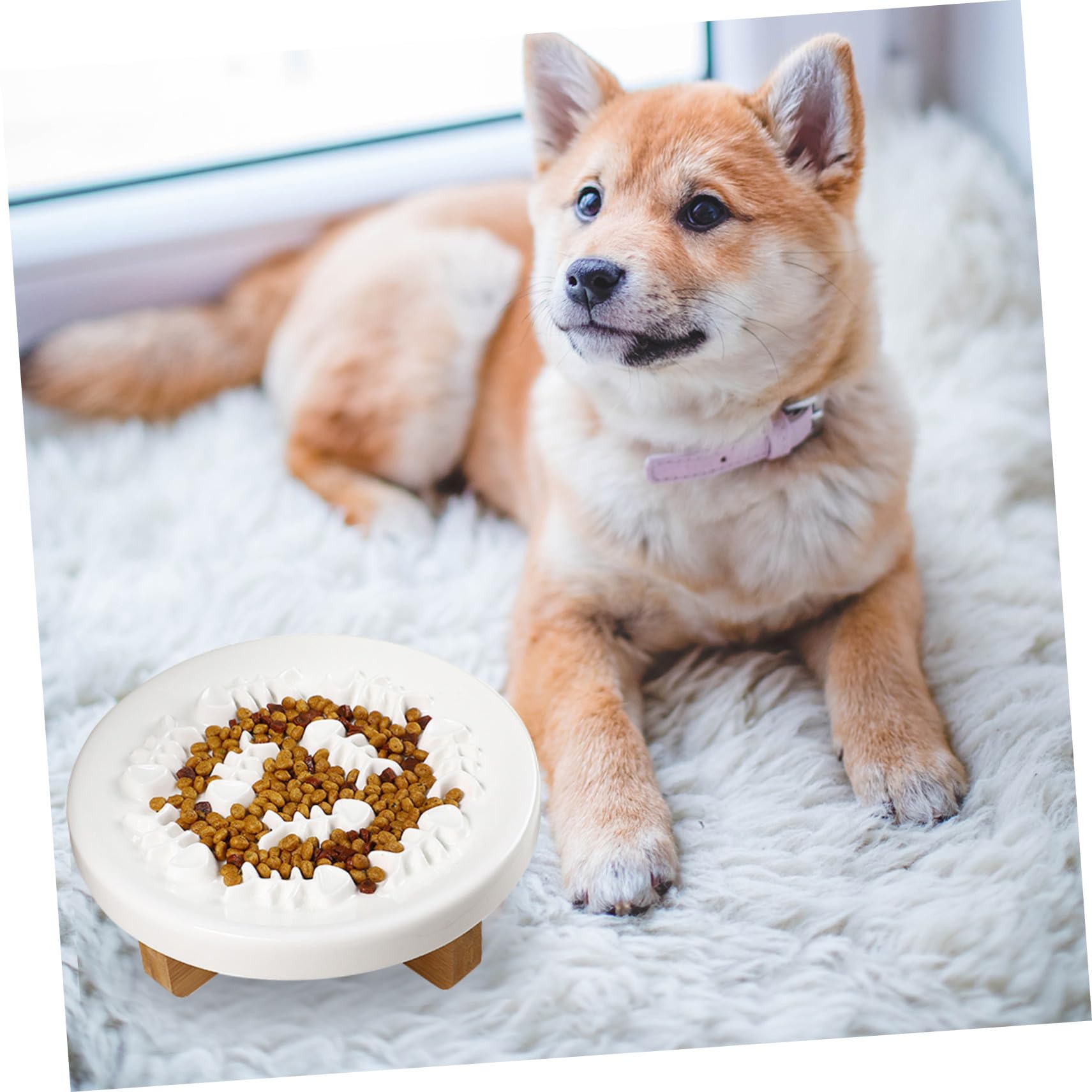 Erhöhte Keramik Slow Feed Futternapfschale Mit Holzständer Welpen Kleintiernapf Zum Schutz Von Hals Anti-rutsch Und Verhindert Verschütten Komfortables Fressset Für Kleine Hunde Un