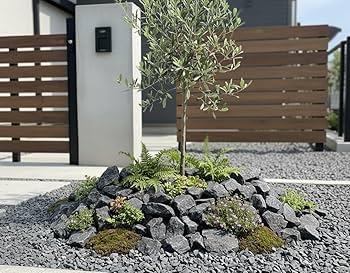 ブラックストーン　12石セット　庭石 石　石材　鑑賞石　庭　ガーデニング ブラックストーン12石セット 庭石鑑賞石石石材盆石水石灯籠蹲庭坪