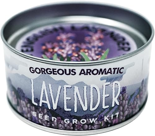 Miniatura 3 de Lavanda | Kit de cultivo de semillas de flores | The Jonsteen Company