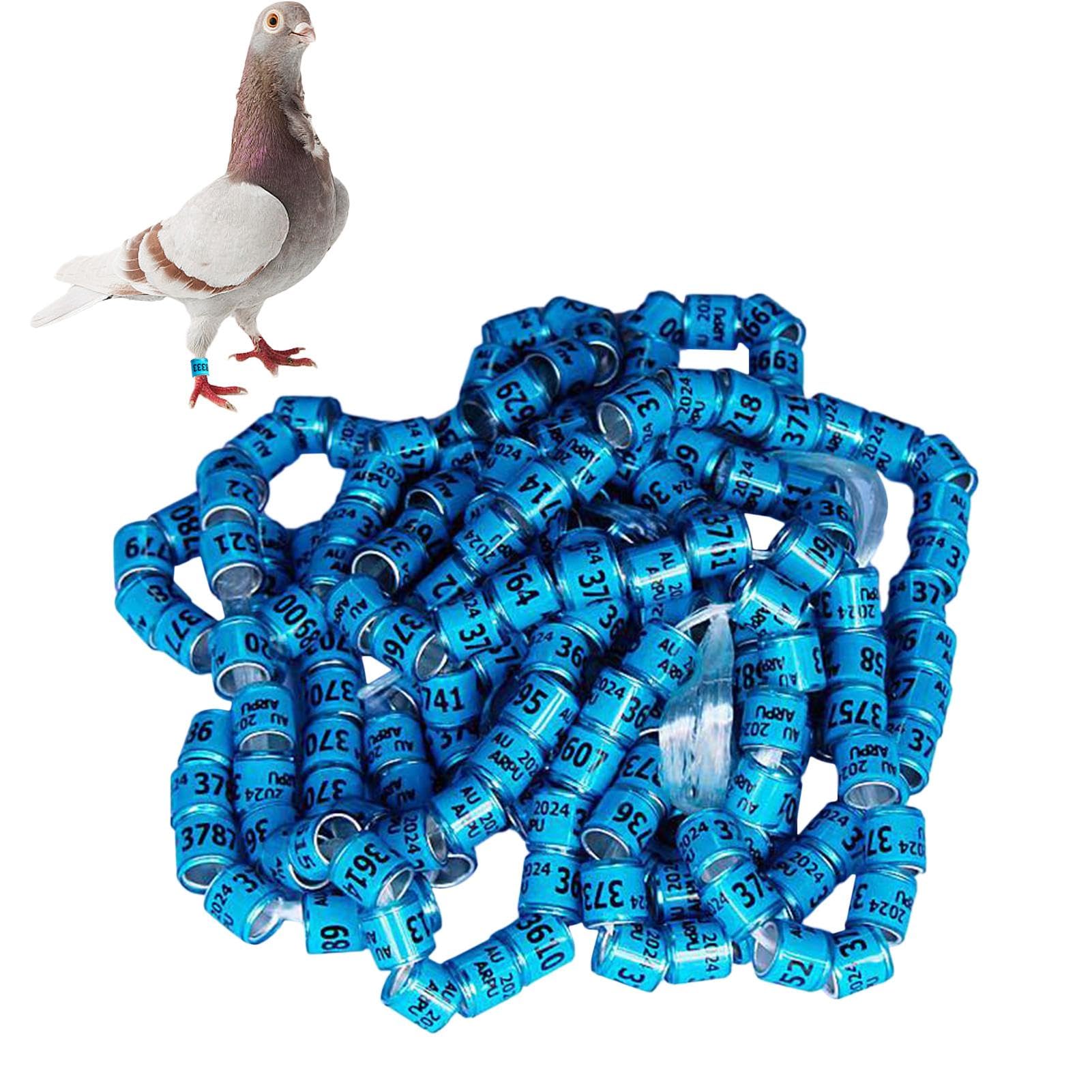 Anelli Di Identificazione Del Piccione, Anelli Di Piccione | 50 Per La | Casetta Sicuri,Forniture Universali Per Piccioni, Bande, Anelli Del Piede ' , Per La Corsa,