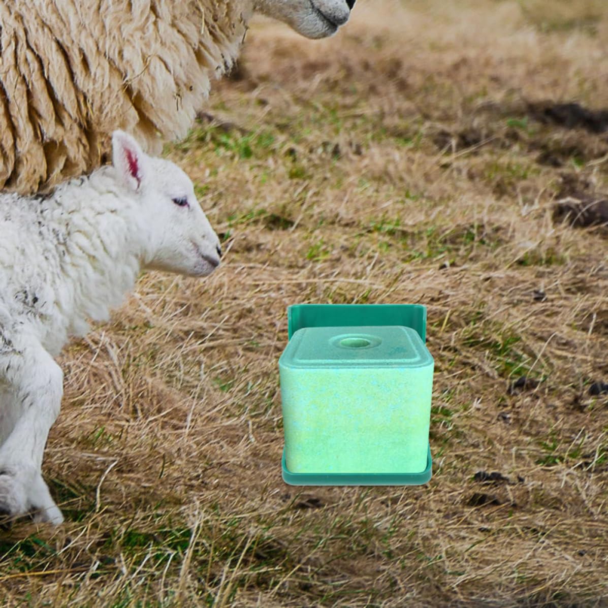 SHINEOFI 2 Stück Salz Futterschale aus Pp für Schafe und Rinder Sicher und Langlebig Praktischer Salzlecksteinhalter zur Fütterung im Stall der Weide