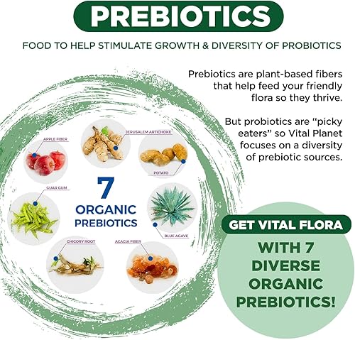 Miniatura 5 de Vital Planet - Vital Flora - Probiótico diario para adultos mayores de 55 años, 60 mil millones de UFC, diversas cepas, prebióticos orgánicos,