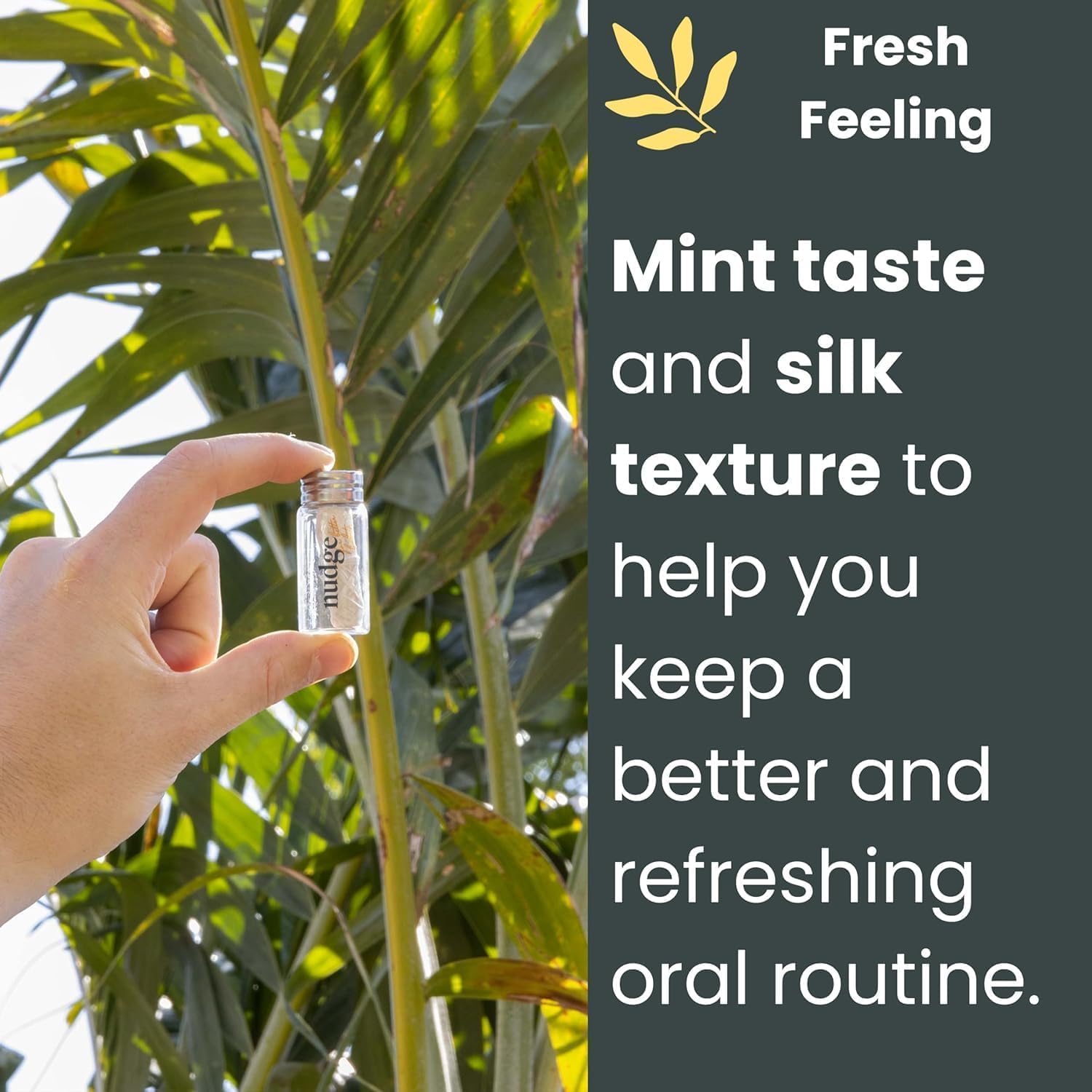 Nudge Clean Sustainable Silk Dental Floss Refill Set, Reusable Glass Dispenser with 4 x 30m All Natural Silk Floss Spools, Plant Based Wax Coated, PFAS Free Oral Care