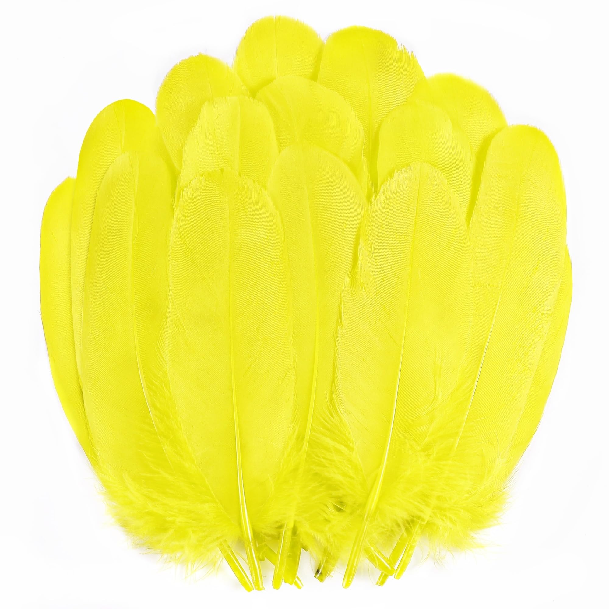 Holmgren Large Yellow Goose Feathers - 200pcs 5-7inch Natural Goose Feather Bulk for Crafts DIY Cosplay Wedding Party Halloween Decoration Goose Nagoire Feathers (Yellow)