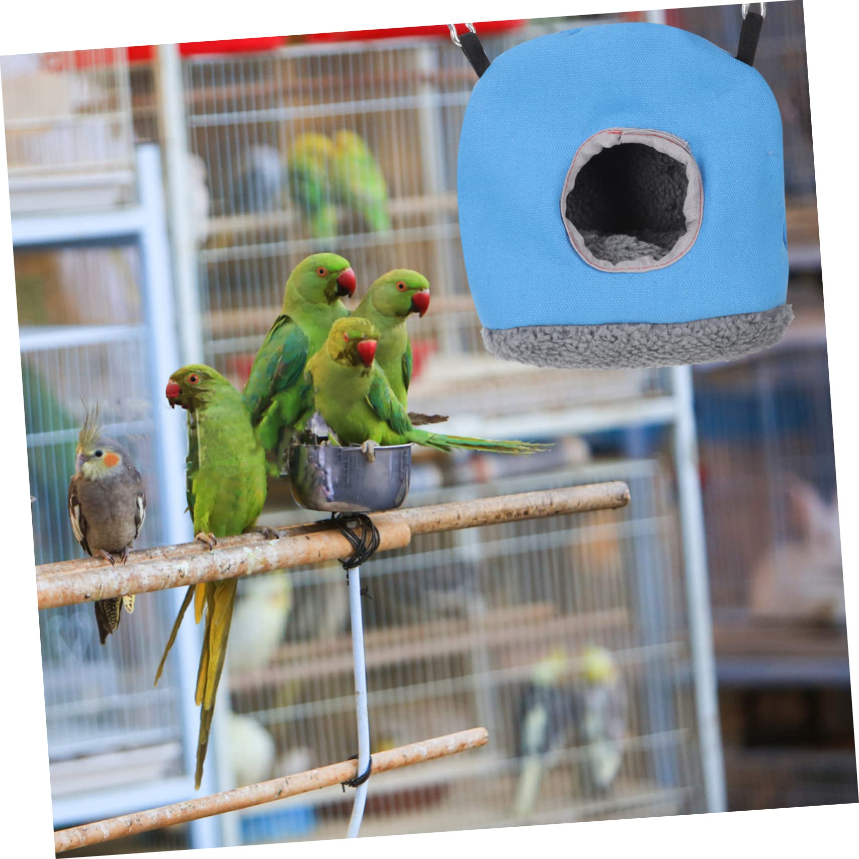 Toddmomy 5pièces Maison Suspendue pour Perruches Nid Décoratif Et Résistant à Usure Accessoire pour Oiseaux Environnement Douillet Et Chaud pour Échapper Aux Prédateurs